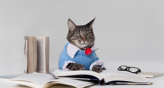 Những cuốn sách đáng đọc nhất cho các nhà sáng lập startup theo từng giai đoạn · Trung Notes