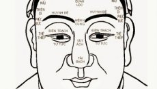 Nhân tướng học, nhận biết nhanh một số thông tin qua khuôn mặt · Trung Notes