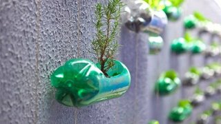 Những tác dụng không ngờ tới của chai nhựa | Trung Notes